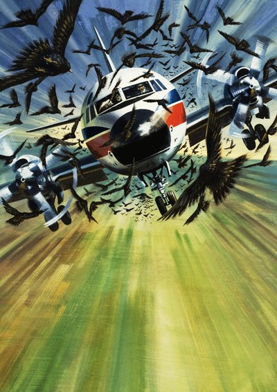 Et passagerfly truet af en flok fugle af Wilf (20th century) Hardy