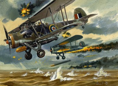 Fly under beskydning af Wilf (20th century) Hardy