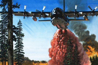 Bombning af en skovbrand af Wilf (20th century) Hardy