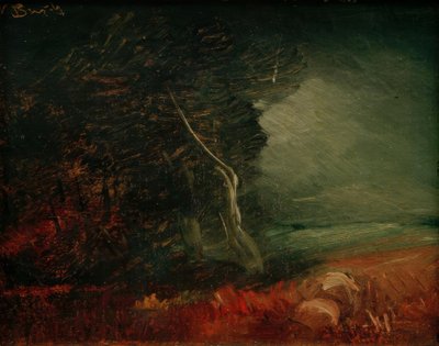 Dyster kant af skoven (kartoffelbrand) af Wilhelm Busch