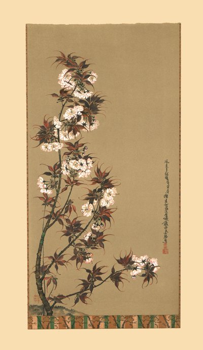 The Cherry Blossoms of Mikawa, 1800-tallet, 1886 af Wilhelm Greve
