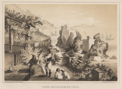 Funchal, Madeira, fra indhegningen, 1885 af Wilhelm Joseph Heine
