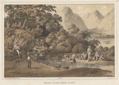 Kanaka Village Bonin Islands, 1855 af Wilhelm Joseph Heine