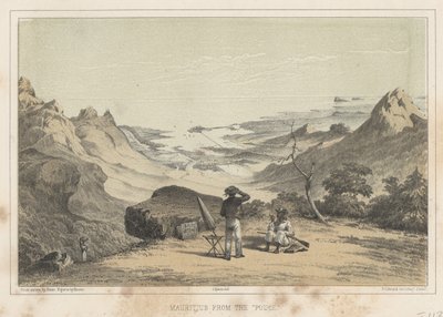 Mauritius fra Pouce, 1855 af Wilhelm Joseph Heine