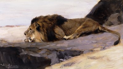En hvilende løve; Ruhender Lowe, af Wilhelm Kuhnert