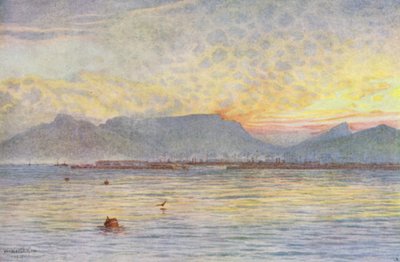 Cape Town fra Table Bay (farvelitografi) af Wilhelm Westhofen