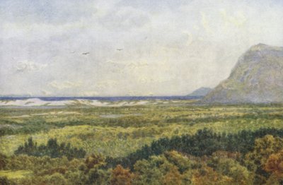 Constantia Valley og False Bay med Cape Point (farvelitografi) af Wilhelm Westhofen