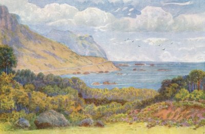 På Victoria Road, nær Oude Kraal (farvelitografi) af Wilhelm Westhofen