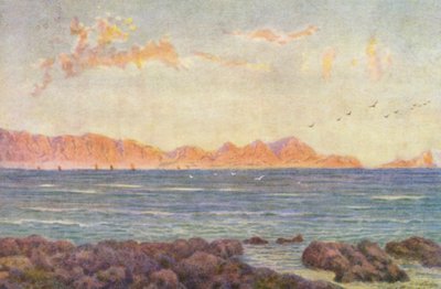 Den sydlige del af False Bay med Cape Hangclip (farvelitografi) af Wilhelm Westhofen