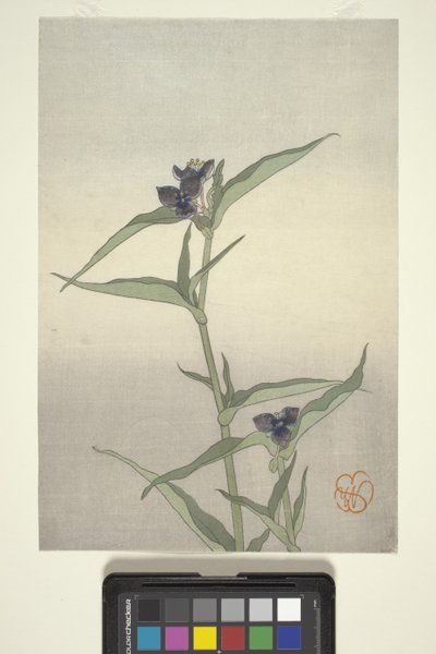Flower Study, ca. 1908 (træblok i farver) af Wilhelmina Seegmiller