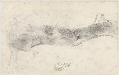 Studie af et træ af Willem Anthonie van Deventer