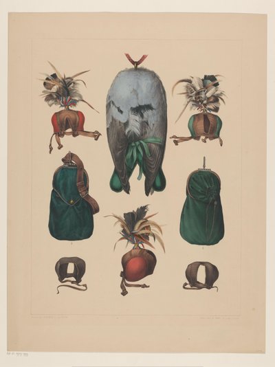 Falkejagtens egenskaber af Willem Bastiaan van Wouw (possibly)
