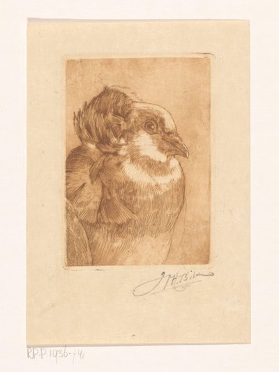 Studie af en due af Willem Hendrik Bik (signed by artist)