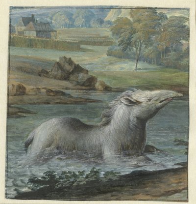 Tapir i vandet af Willem Hendrik Wilhelmus van Royen