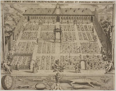Den botaniske have i Leyden af Willem Isaaksz Swanenburgh