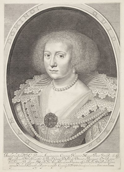 Portræt af Amalia van Solms af Willem Jacobsz Delff