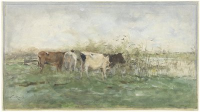 Køer ved en vandpyt af Willem Maris