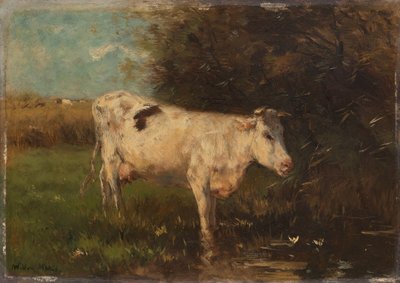 Hvid ko af Willem Maris