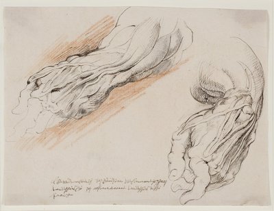 Anatomiske studier (écorchés.) En mands flåede venstre underarm i to positioner. af Willem Panneels