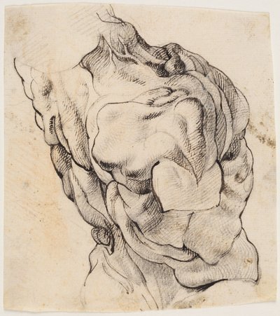 Anatomisk undersøgelse (écorché). Torso af en flået mand set fra bagsiden halvt vendt mod højre af Willem Panneels