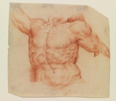 Set forfra af Laocoons torso af Willem Panneels