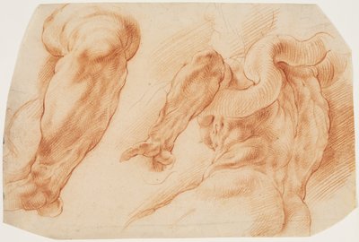 Laocoon. Studier af Laocoons venstre arm og af bagsiden af hans torso set fra venstre og nedefra af Willem Panneels