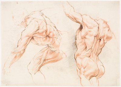 To anatomiske studier af en mand, der læner sig mod venstre, og en anden set bagfra med løftet arm (écorché) af Willem Panneels