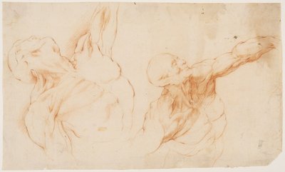 To anatomiske studier (écorchés). Afflettet torso af en mand, hans venstre arm løftet af Willem Panneels