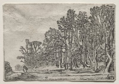 The Set of the Landscapes: Two Plank-Hedges, 1616. af Willem Pietersz Buytewech