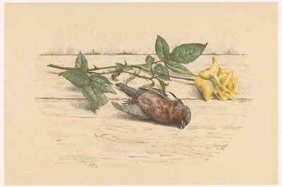 Død finke liggende ved siden af ​​en rose af Willem Roelofs (II) (signed by artist)