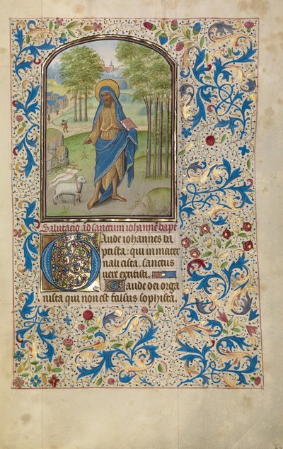 Johannes der Täufer af Willem Vrelant