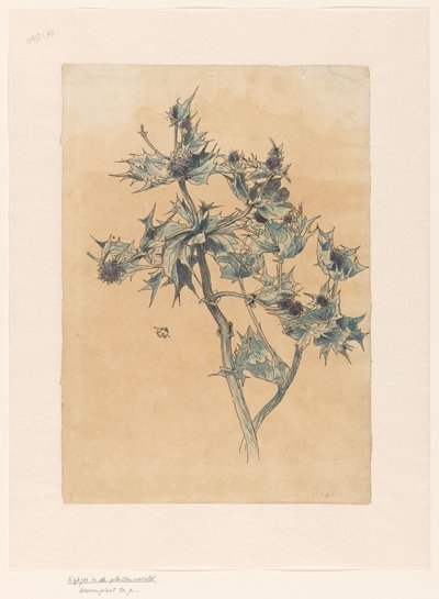 tidsler af Ludwig Willem Reymert Wenckebach