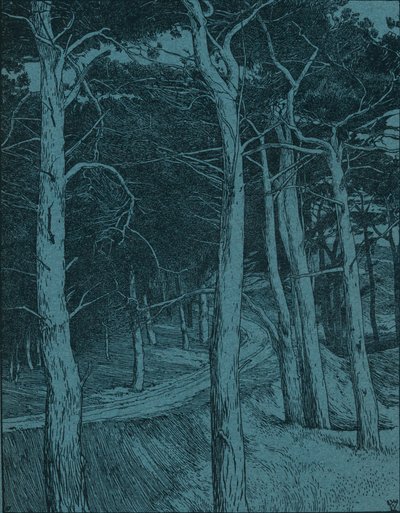Woodland, c1912 af Willem Wenckebach