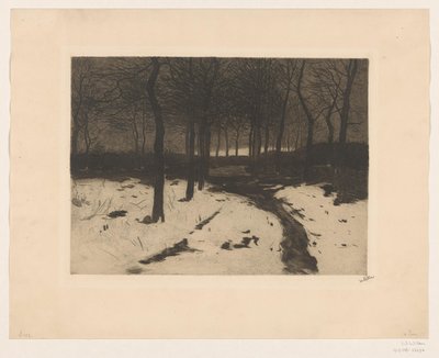 Skovsti i Ewijkshoeve af Willem Witsen (signed by artist)