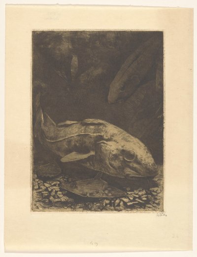 Fisk og vandplanter af Willem Witsen (signed by artist)