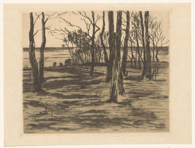 Træer på havnefronten i Valkeveen af Willem Arnoldus Witsen