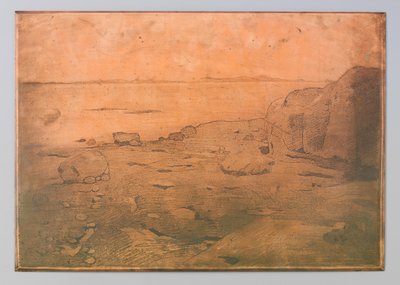 Rocky Coast ved St. Andrews, Canada af Willem Arnoldus Witsen