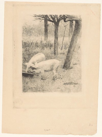 To grise ved et trug af Willem Arnoldus Witsen