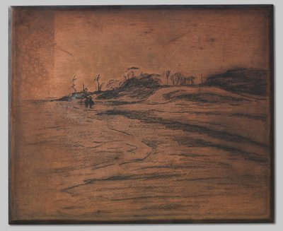Valkeveen ved Zuiderzee af Willem Arnoldus Witsen
