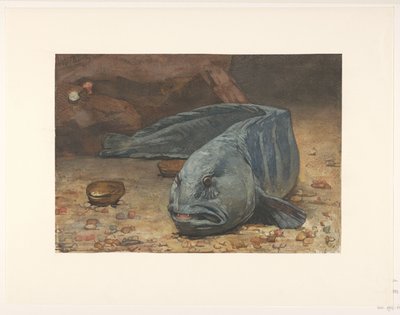 Ulvefisk i bunden af ​​et akvarium af Willem Arnoldus Witsen