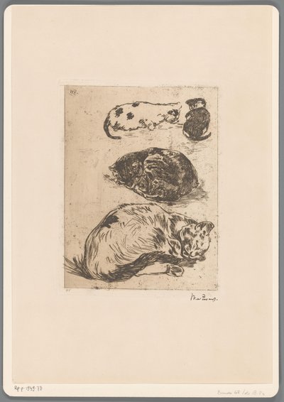 Undersøgelse af katte (original titel) af Willem de Zwart (signed by artist)