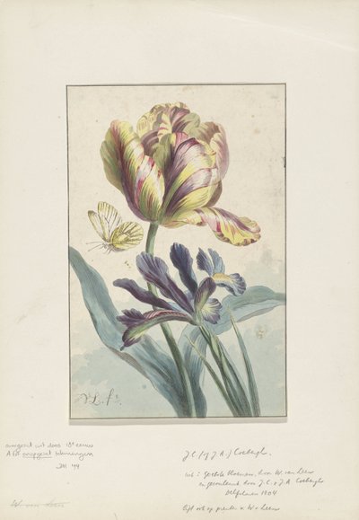Tulipan og iris af Willem van Leen