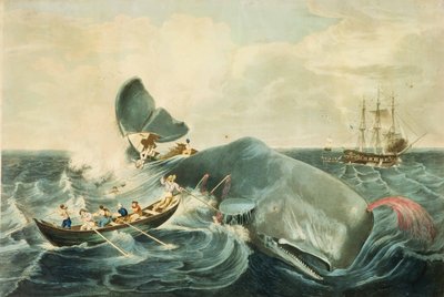 Capturing a Sperm Whale, graveret af J. Hill, udgivet 1835 (farveakvatinte) af William (after) Page