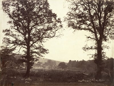 Landskab med elme, Ashdown, Storbritannien af William 2nd Earl of Craven