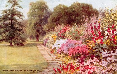 Urteagtig grænse, Kew Gardens af William Affleck Carruthers