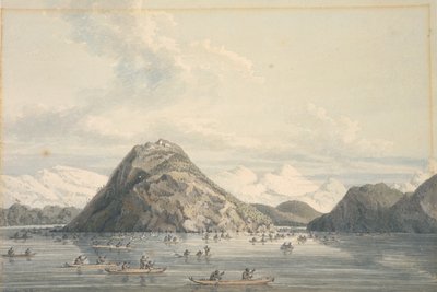 Port Dick, nær Cook
