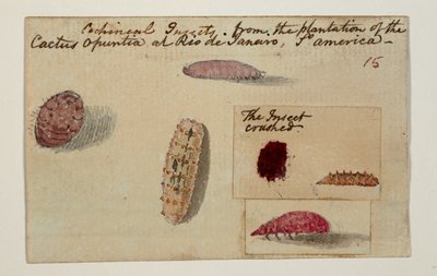 WD 961 f.15 af William Alexander