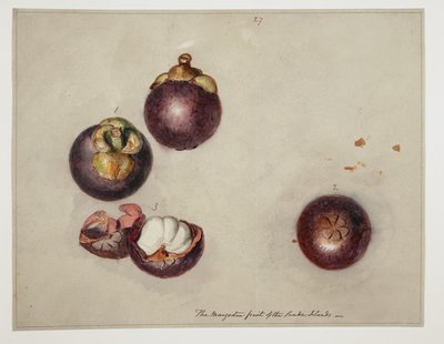 WD 961 f.27 af William Alexander