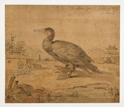WD 961 f.6 af William Alexander