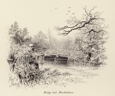 Bro nær Brockenhurst (gravering) af William Alexander Ansted